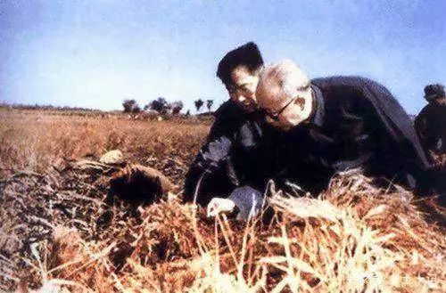 ⭐诚信买卖
京东企业号
批发出售